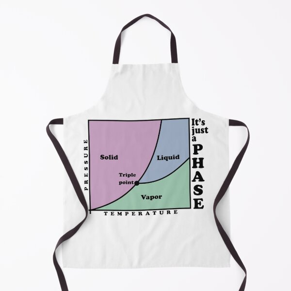 Item preview, It's just a phase (diagram) designed and sold by ScienceCorner.
