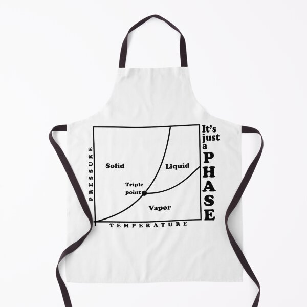 Item preview, It's just a phase (diagram) designed and sold by ScienceCorner.
