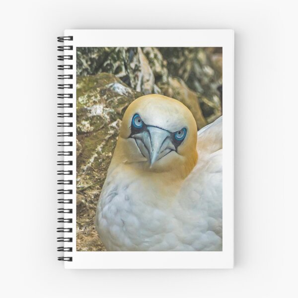 Item preview, Eye Contact! designed and sold by MikeSquires.