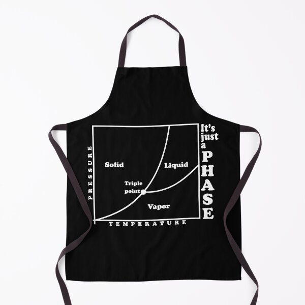 Item preview, It's just a phase (diagram) designed and sold by ScienceCorner.