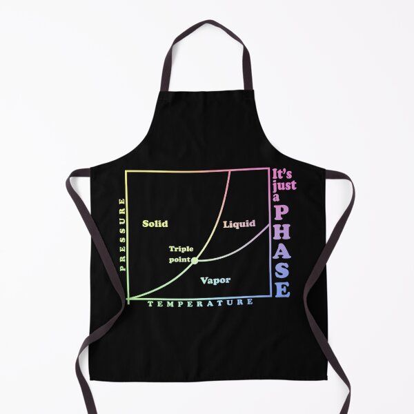 Item preview, It's just a phase (diagram) designed and sold by ScienceCorner.