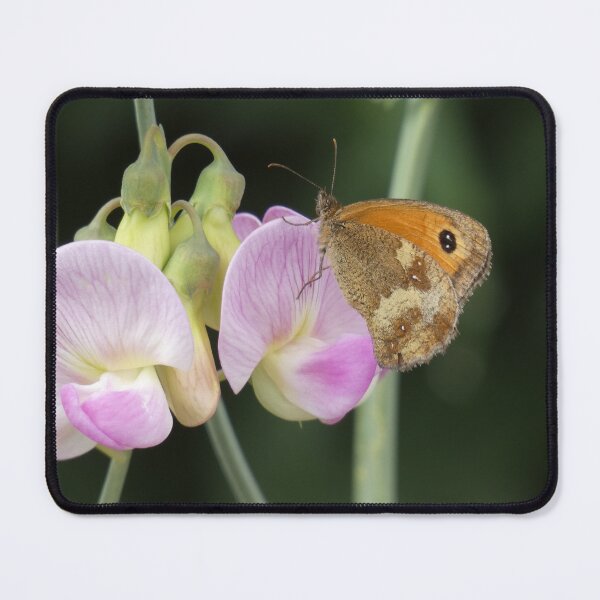 Item preview, Butterfly on a Sweet Pea designed and sold by C Rose.