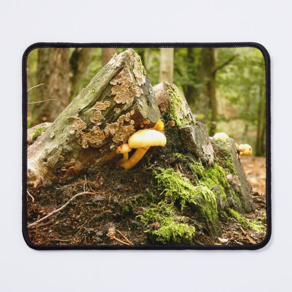 Item preview, Autumnal Mushrooms designed and sold by C Rose.