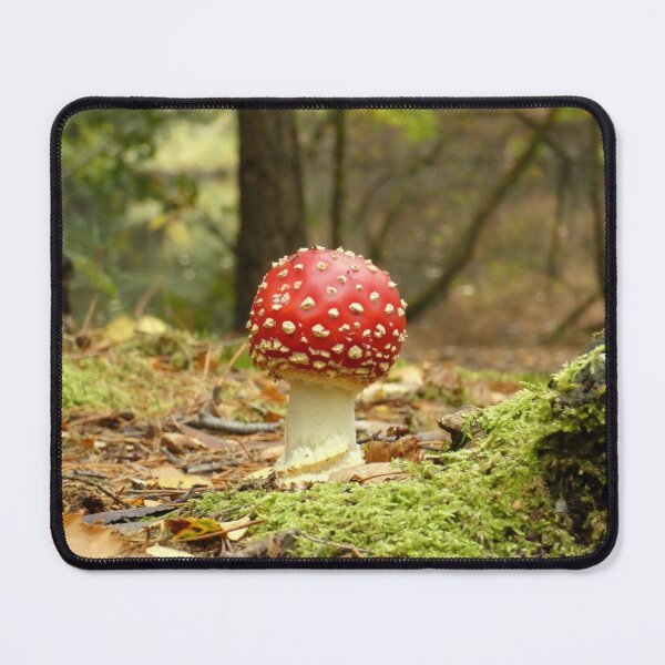 Item preview, Fairytale Fly Agaric designed and sold by C Rose.