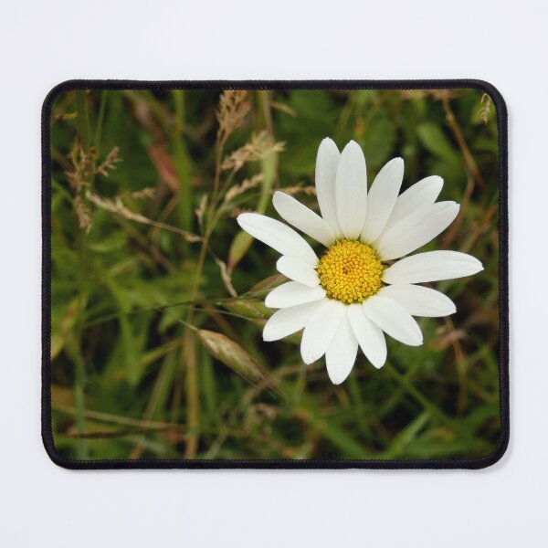 Item preview, Oxeye Daisy designed and sold by C Rose.