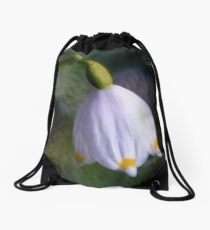 Spring Snowflake Drawstring Bag