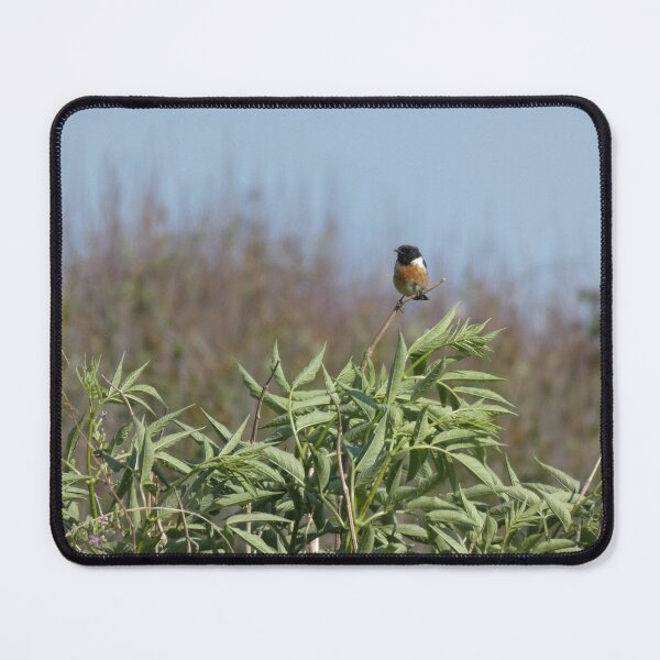 Item preview, Stone Chat II designed and sold by C Rose.