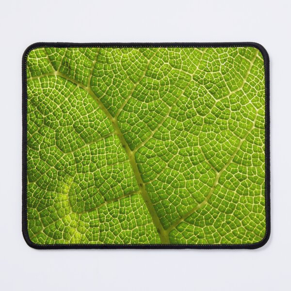 Item preview, Leaf Streets designed and sold by C Rose.