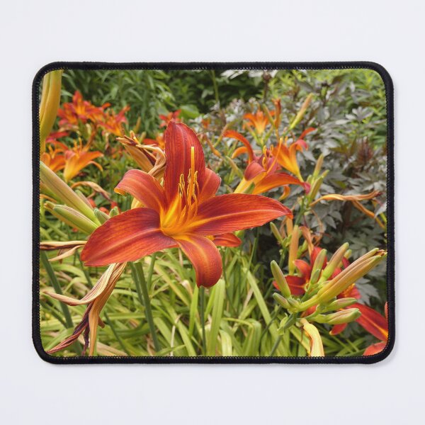 Item preview, Fire Lily designed and sold by C Rose.