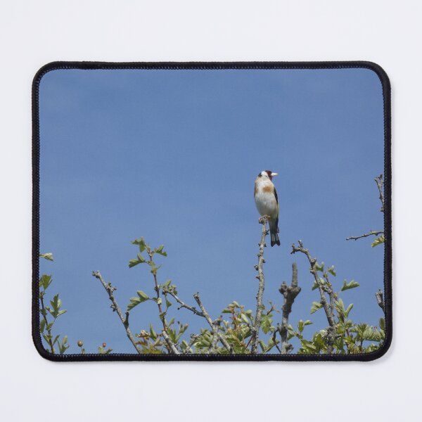 Item preview, Goldfinch I designed and sold by C Rose.