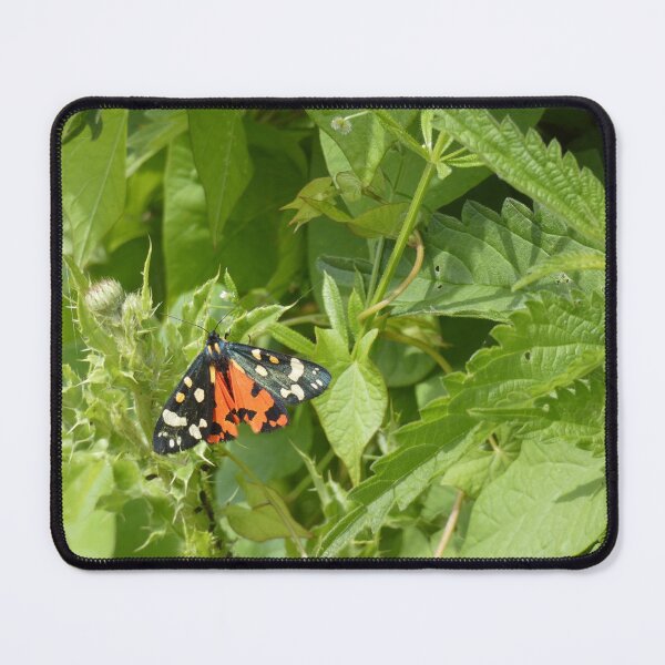 Item preview, Scarlet Tiger Moth  designed and sold by C Rose.