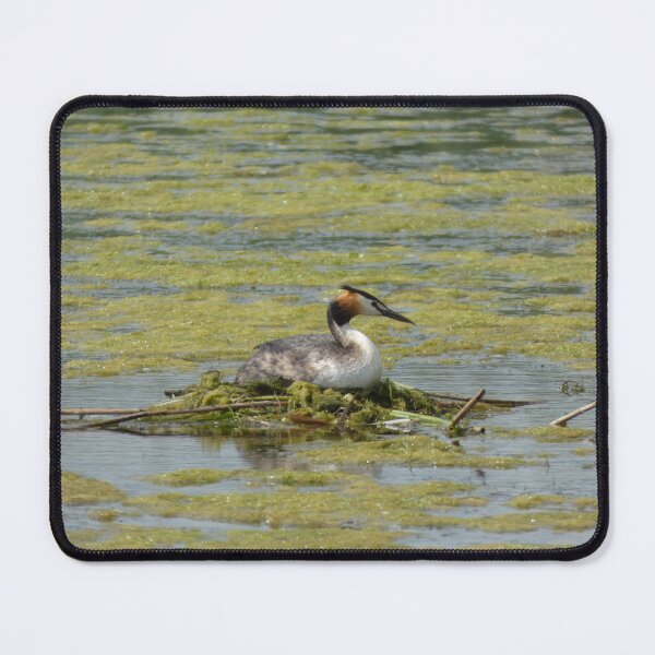 Item preview, Nesting Grebe designed and sold by C Rose.