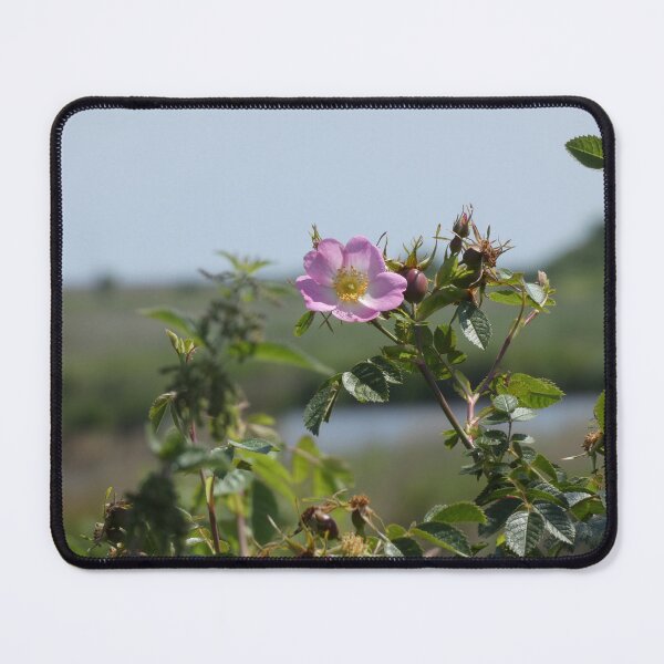 Item preview, Pink Dogrose designed and sold by C Rose.