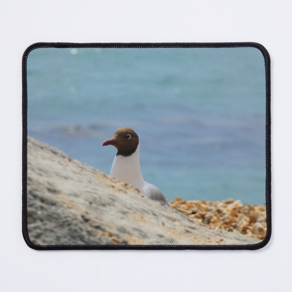 Item preview, Sneaky Seagull designed and sold by C Rose.