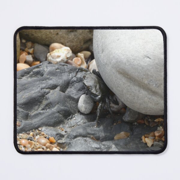 Item preview, Little crab designed and sold by C Rose.