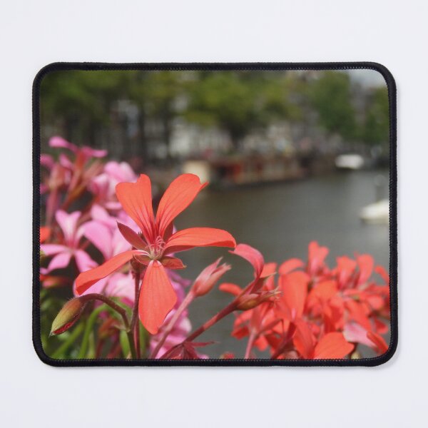Aperçu de l'œuvre Fleurs Canalside créée et vendue par C Rose.