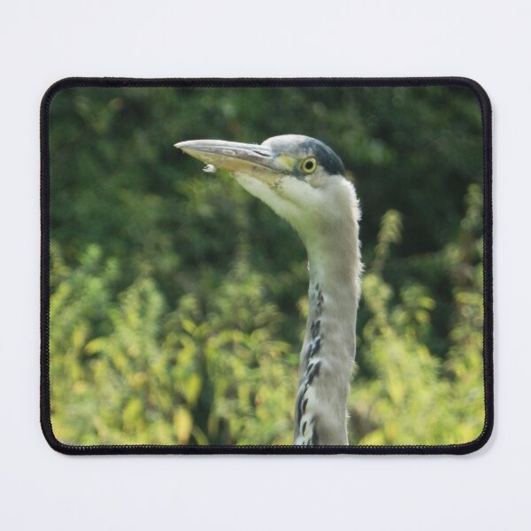 Item preview, Curious Heron designed and sold by C Rose.