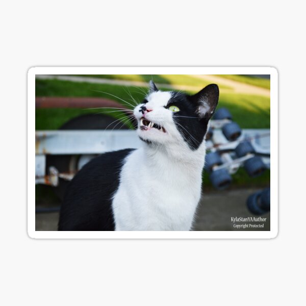 Fangs Sticker