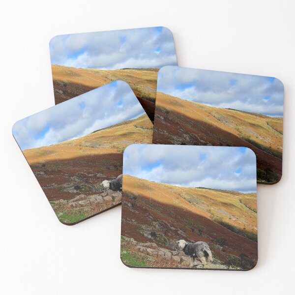 Item preview, A Herdwick Sheep in the English Lake District designed and sold by beavo.