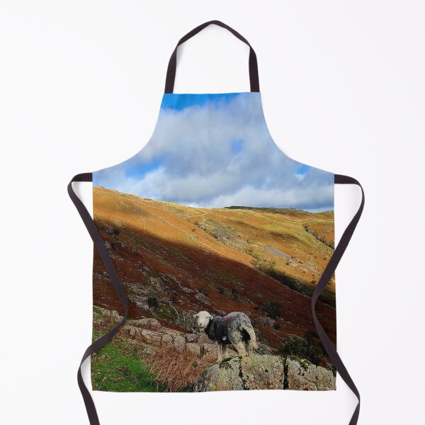Item preview, A Herdwick Sheep in the English Lake District designed and sold by beavo.