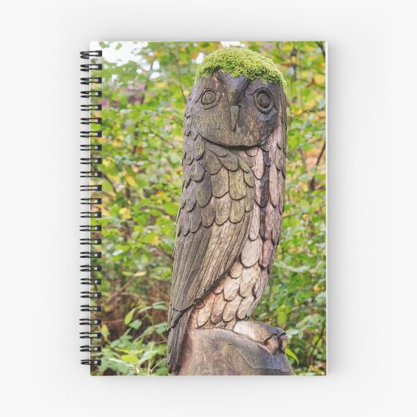 Item preview, Wooden Owl Sculpture at Sunnyhurst Wood, Darwen Lancashire, UK designed and sold by Shafiq Khan.
