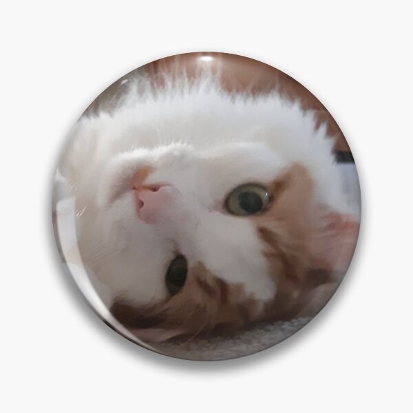 Item preview, Cute cat being daft. designed and sold by Custranz.