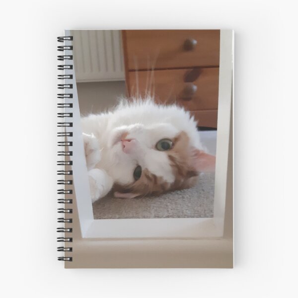 Item preview, Cute cat being daft. designed and sold by Custranz.