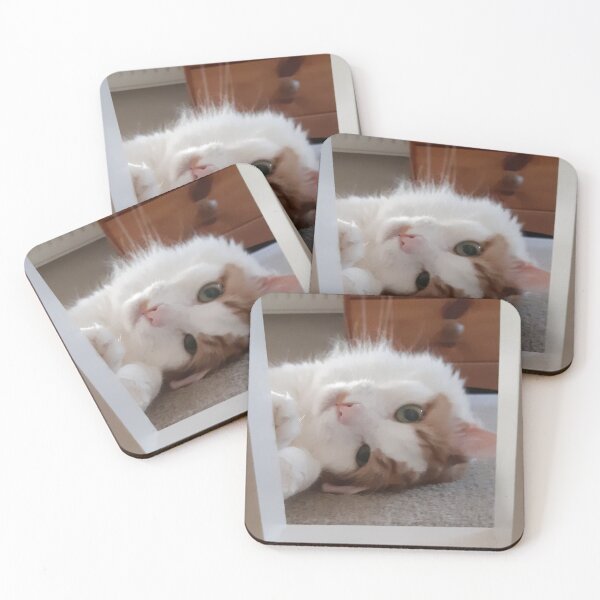 Item preview, Cute cat being daft. designed and sold by Custranz.