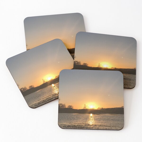 Item preview, Cisne en campo inundado al atardecer designed and sold by Custranz.