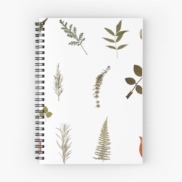 Item preview, Dried leaves. Vintage journaling designed and sold by stuffsforyou2.