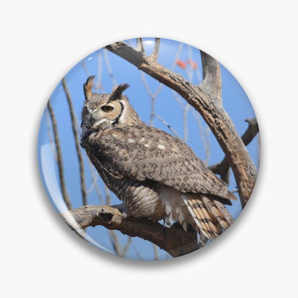 Item preview, Great Horned Owl and Ocotillo designed and sold by Kathleen Brant.