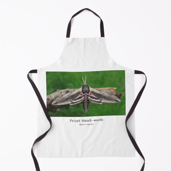 Item preview, Privet Hawk-moth designed and sold by SteveEvansArt.