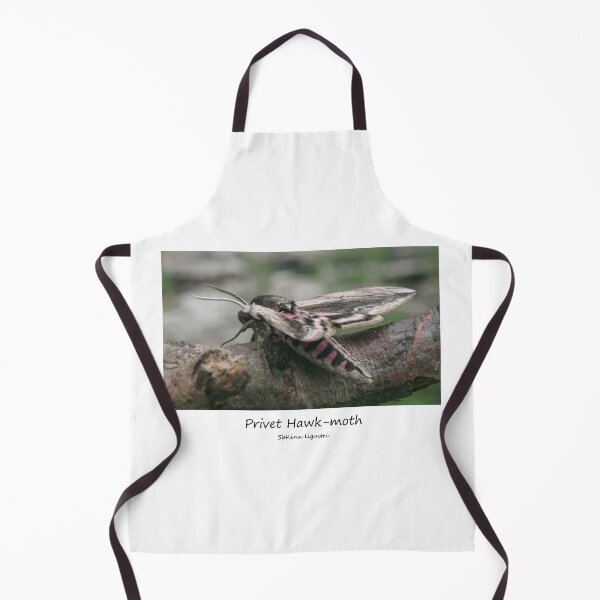 Item preview, Privet Hawk-moth designed and sold by SteveEvansArt.
