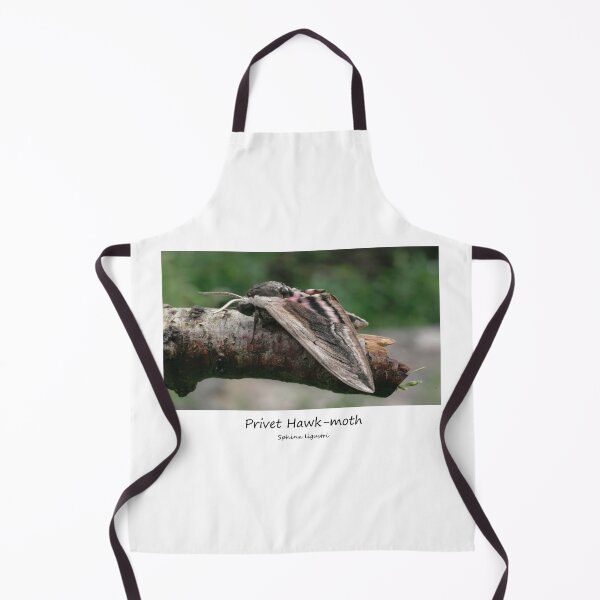 Item preview, Privet Hawk-moth designed and sold by SteveEvansArt.