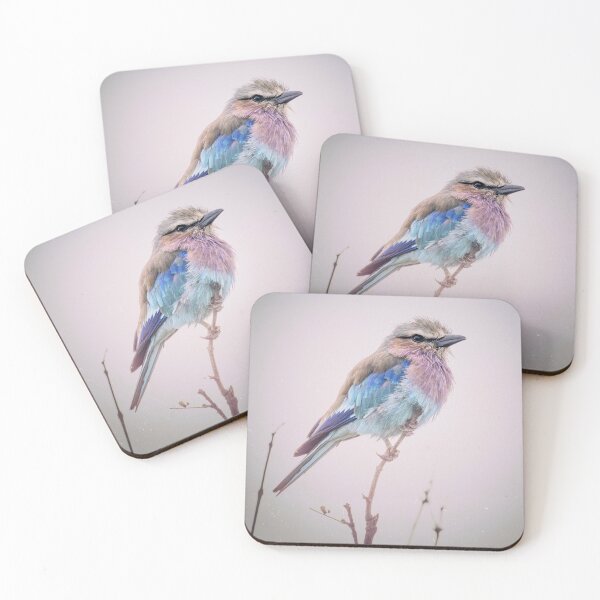 Item preview, Lilac-Breasted Roller Tanzania designed and sold by PhotoArt by Joan Carroll.