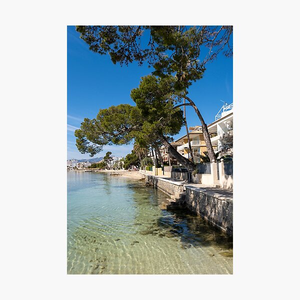 Item preview, Puerto Pollensa Pine Walk Mallorca designed and sold by GG WALL ART.