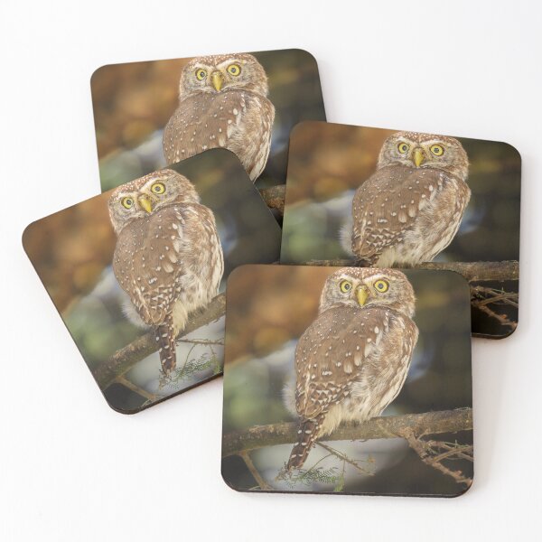 Item preview, Pearl Spotted Owlet Tanzania designed and sold by PhotoArt by Joan Carroll.