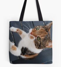 Lola Takes a Stand Tote Bag
