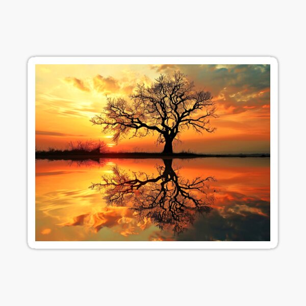 Item preview, Tree silhouette at sunset. designed and sold by ScenicViewPics.