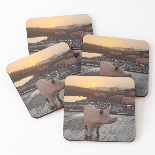 Item preview, A Pig at Sunrise designed and sold by beavo.