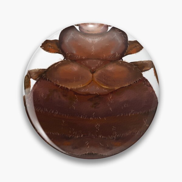 Item preview, Bed bug sticker designed and sold by Charliembe.