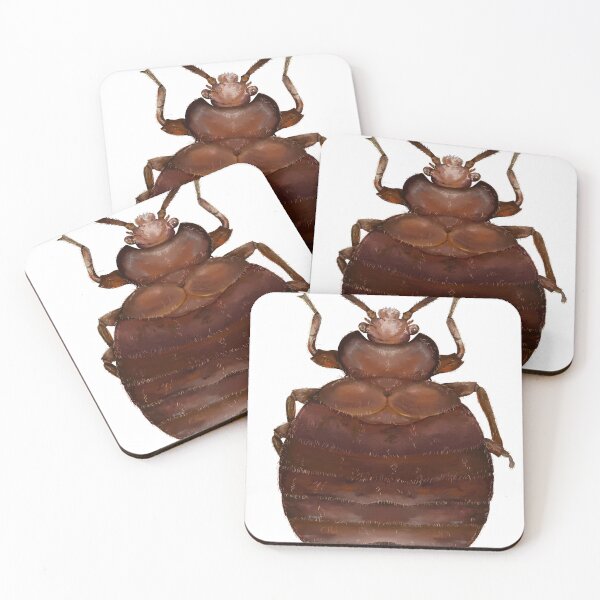 Item preview, Bed bug sticker designed and sold by Charliembe.
