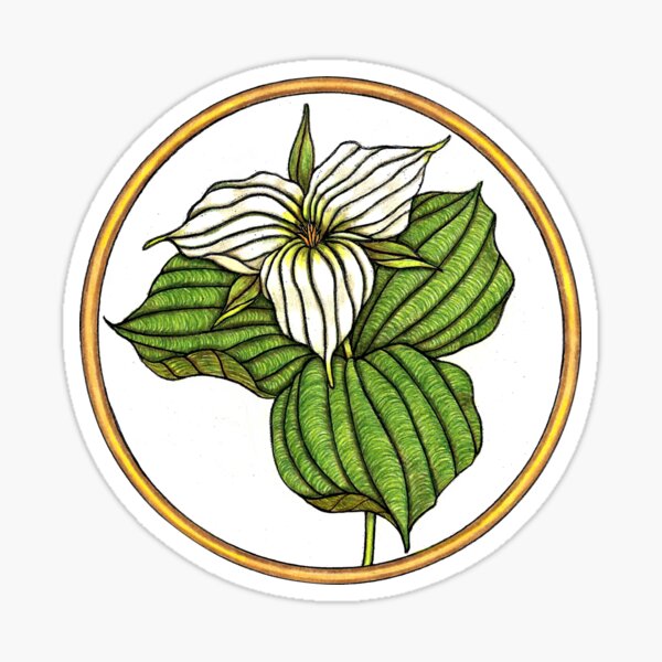 TRILLIUM Sticker