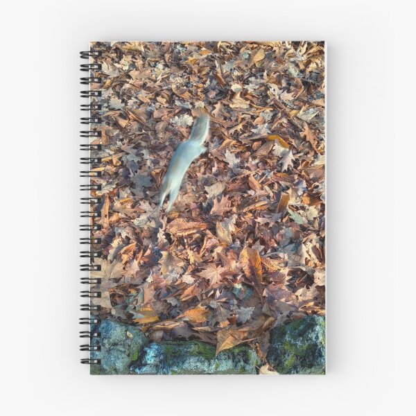 Item preview, SquirRunLeaves designed and sold by Cr4Store.