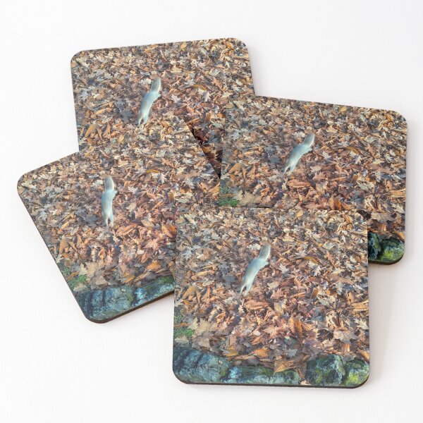 Item preview, SquirRunLeaves designed and sold by Cr4Store.