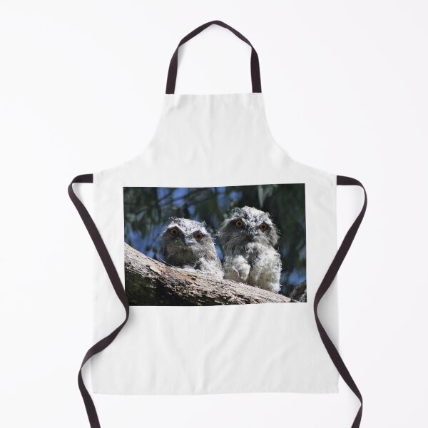 Item preview, Tawny Frogmouth babies designed and sold by Kathie Thomas.