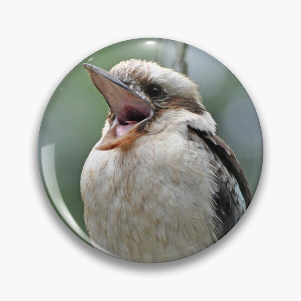 Artikelvorschau, Laughing Kookaburra entworfen und verkauft von Kathie Thomas.