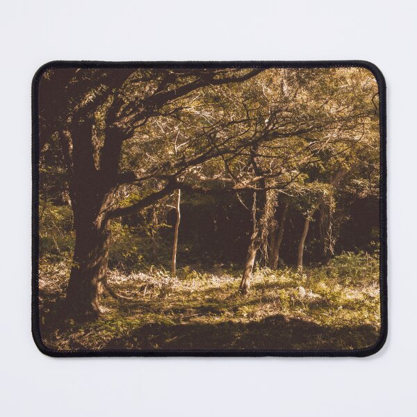 Item preview, Forest, Deep inside, epic designed and sold by JOYM0610.
