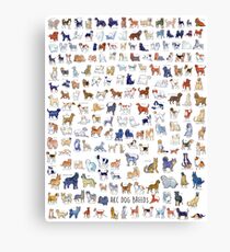 Every AKC Dog Breed Canvas Print