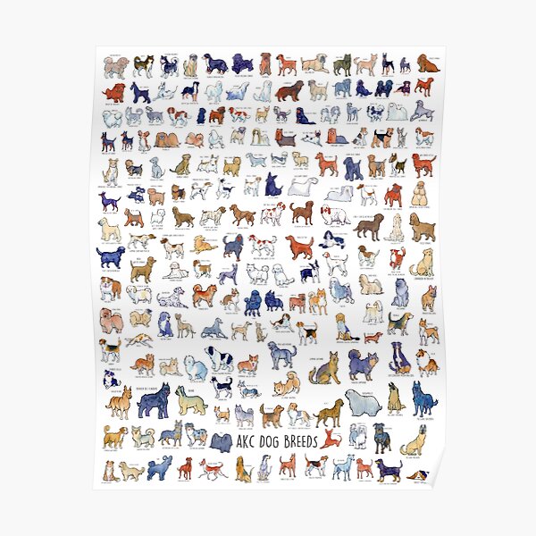 Every AKC Dog Breed Poster